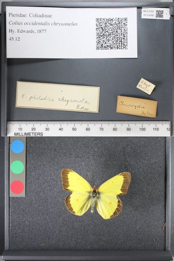 Media type: image;   Entomology 124395
